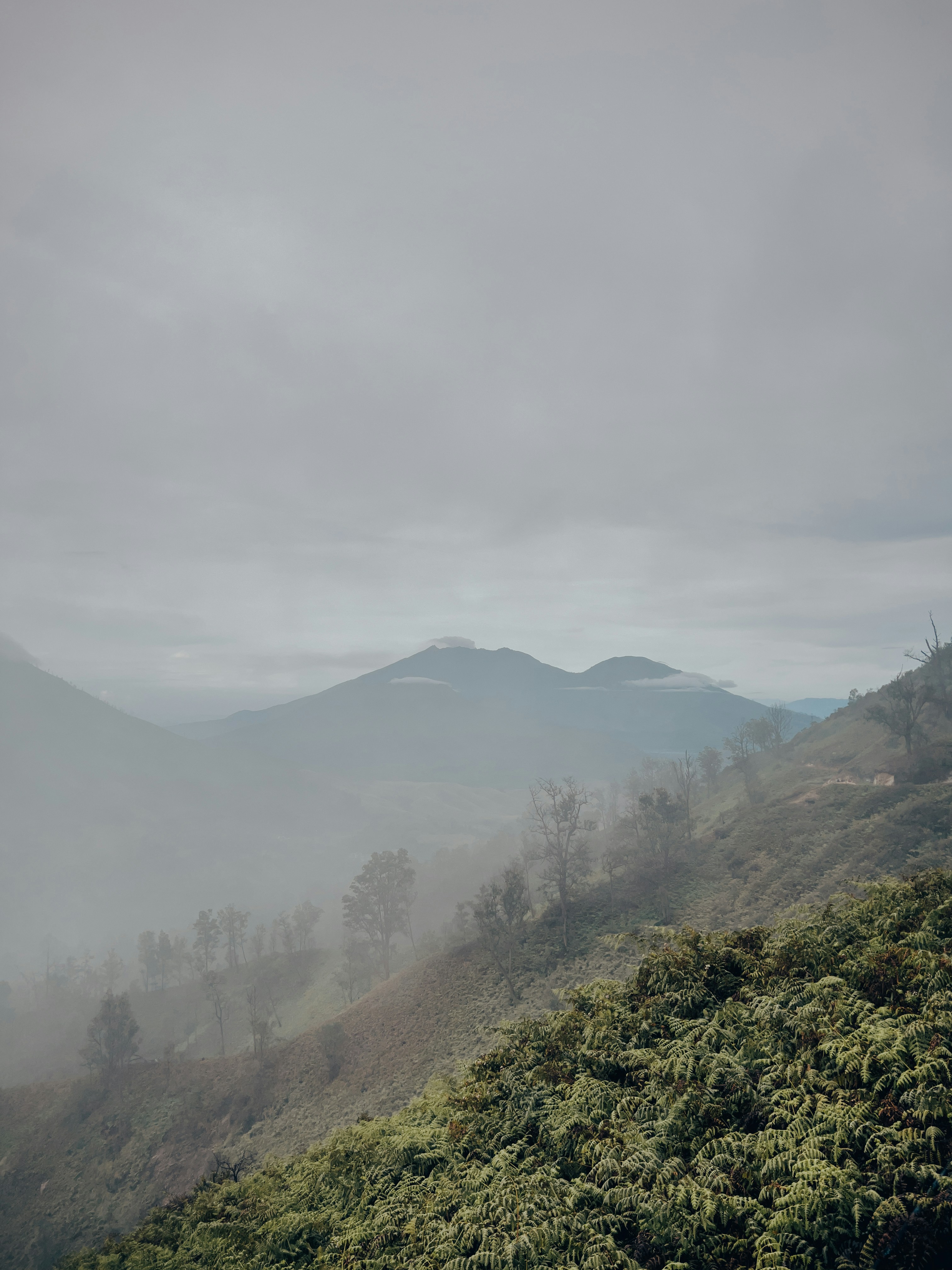 Photo by christianvasile