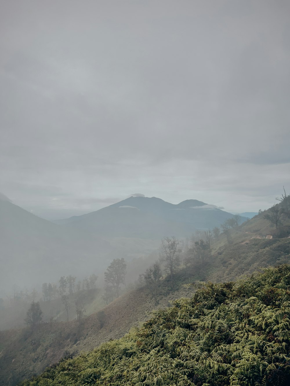 a landscape with trees and hills