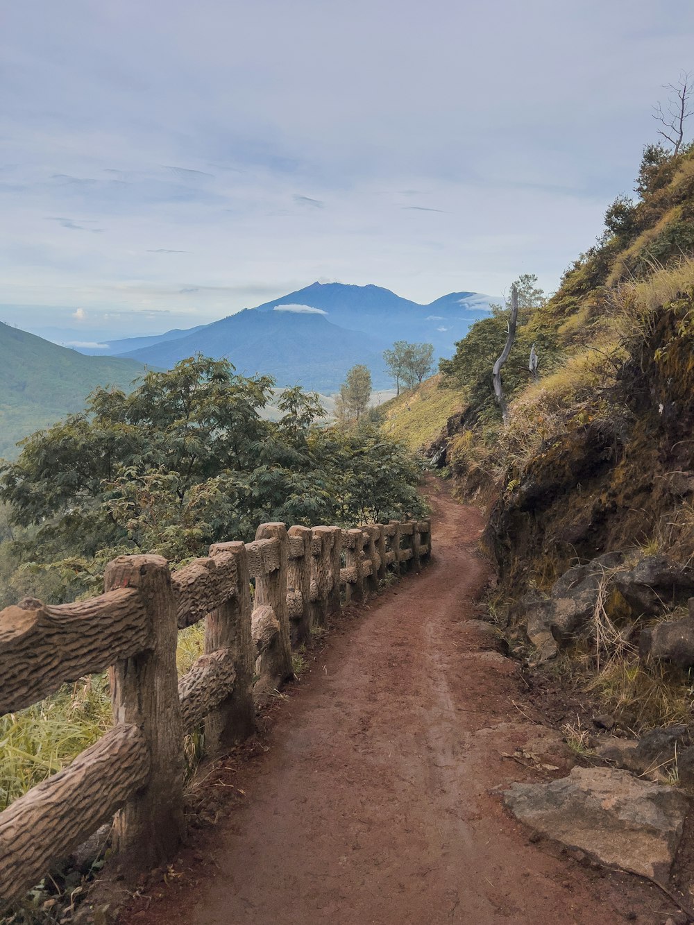 a dirt road with trees and mountains in the background