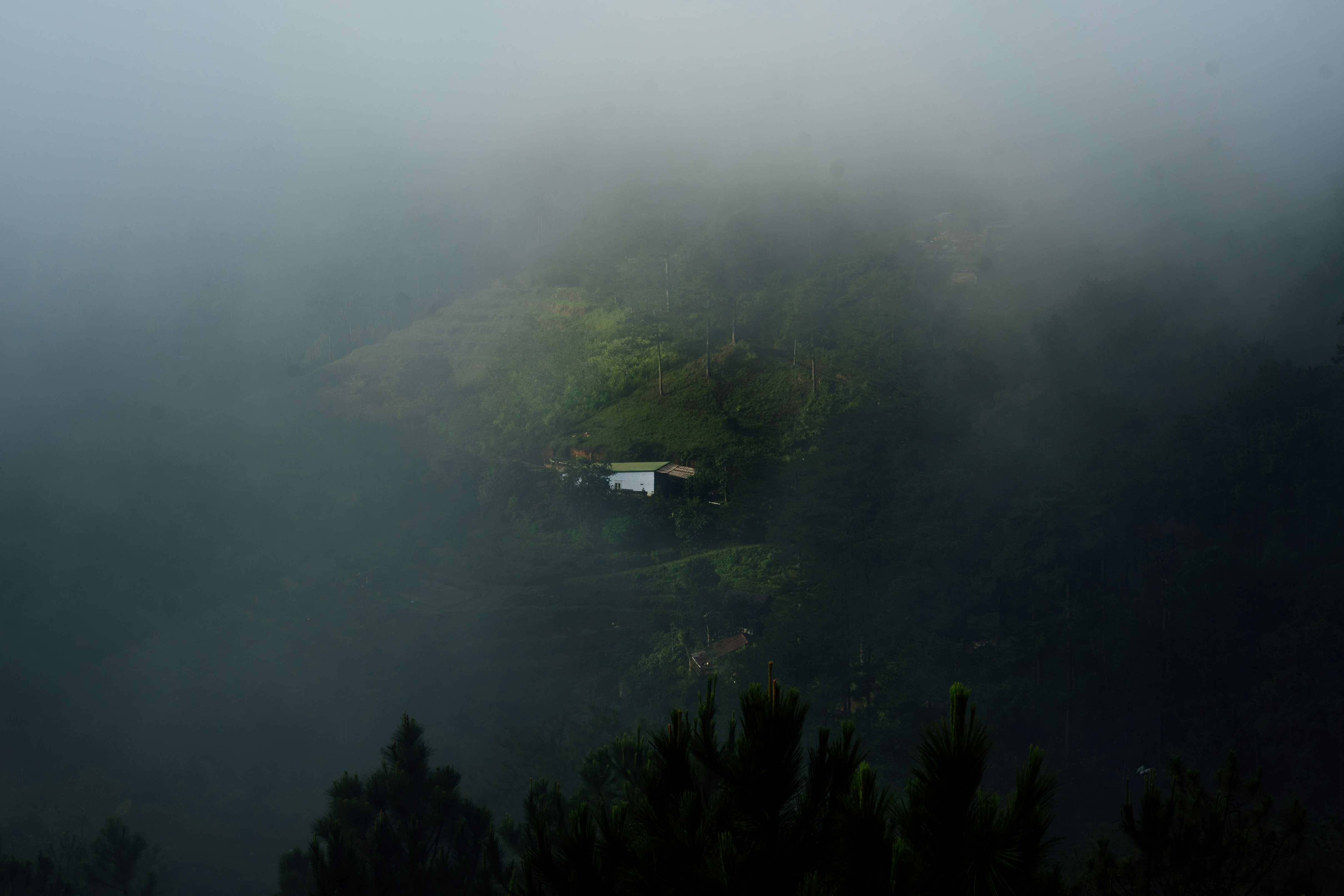 Photo by hinewin