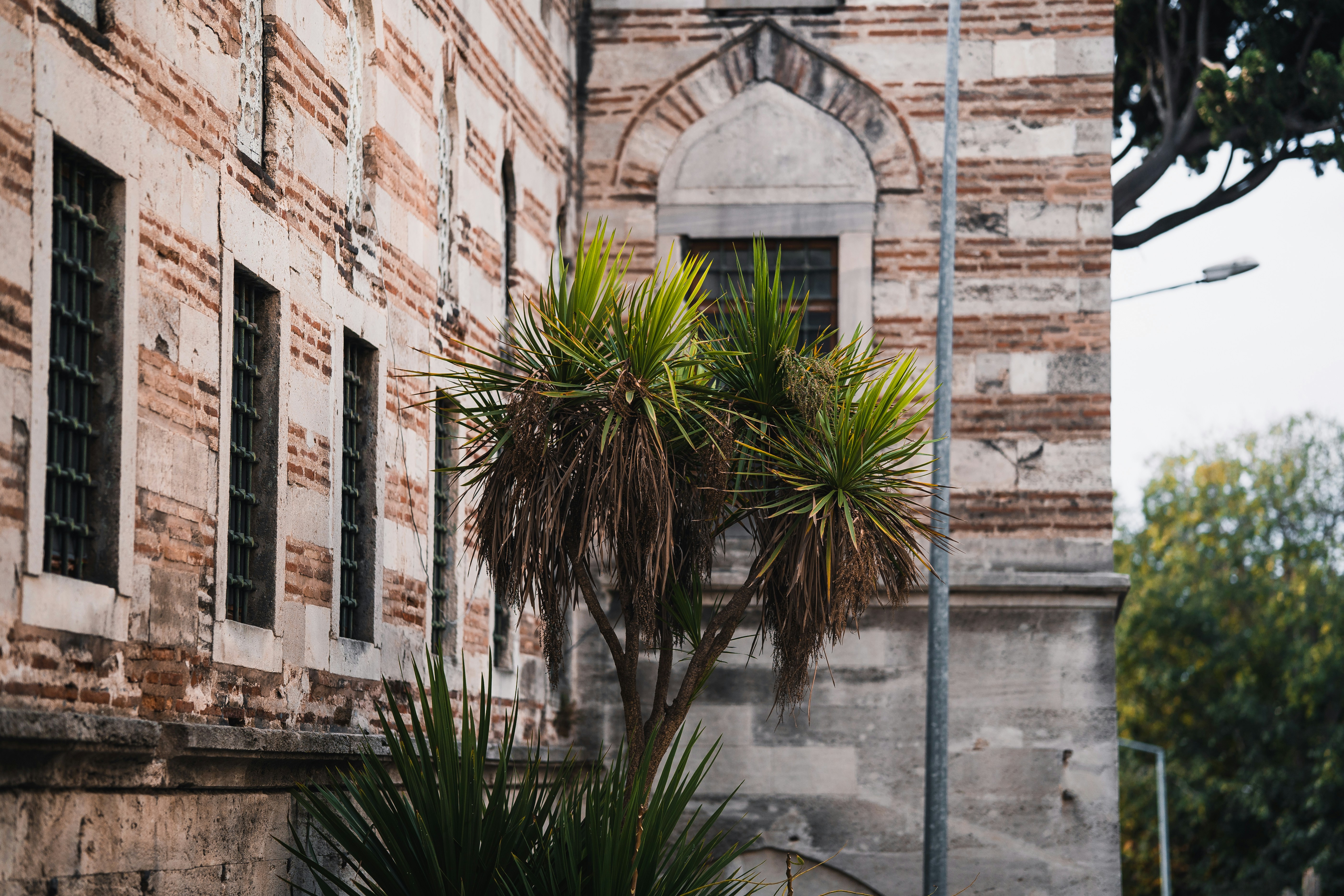 Photo by spensersembrat