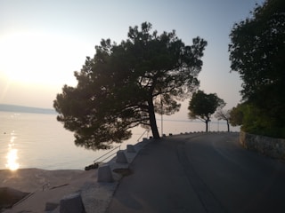 A serene coastal road at sunset with a gentle reminder sign about slowing down.