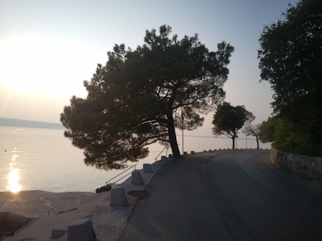 A serene coastal road at sunset with a gentle reminder sign about slowing down.