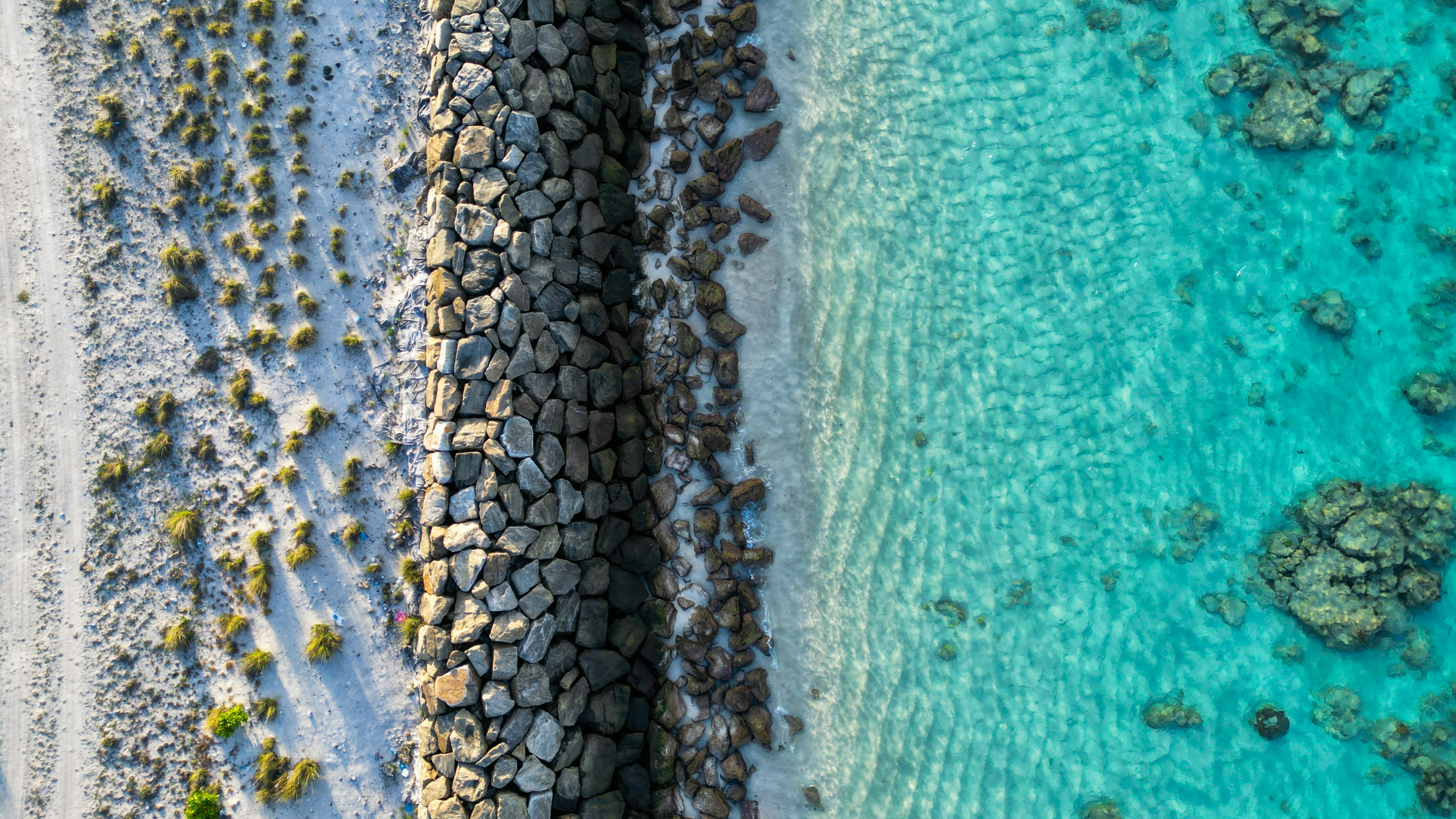 Photo by elevens_clicks