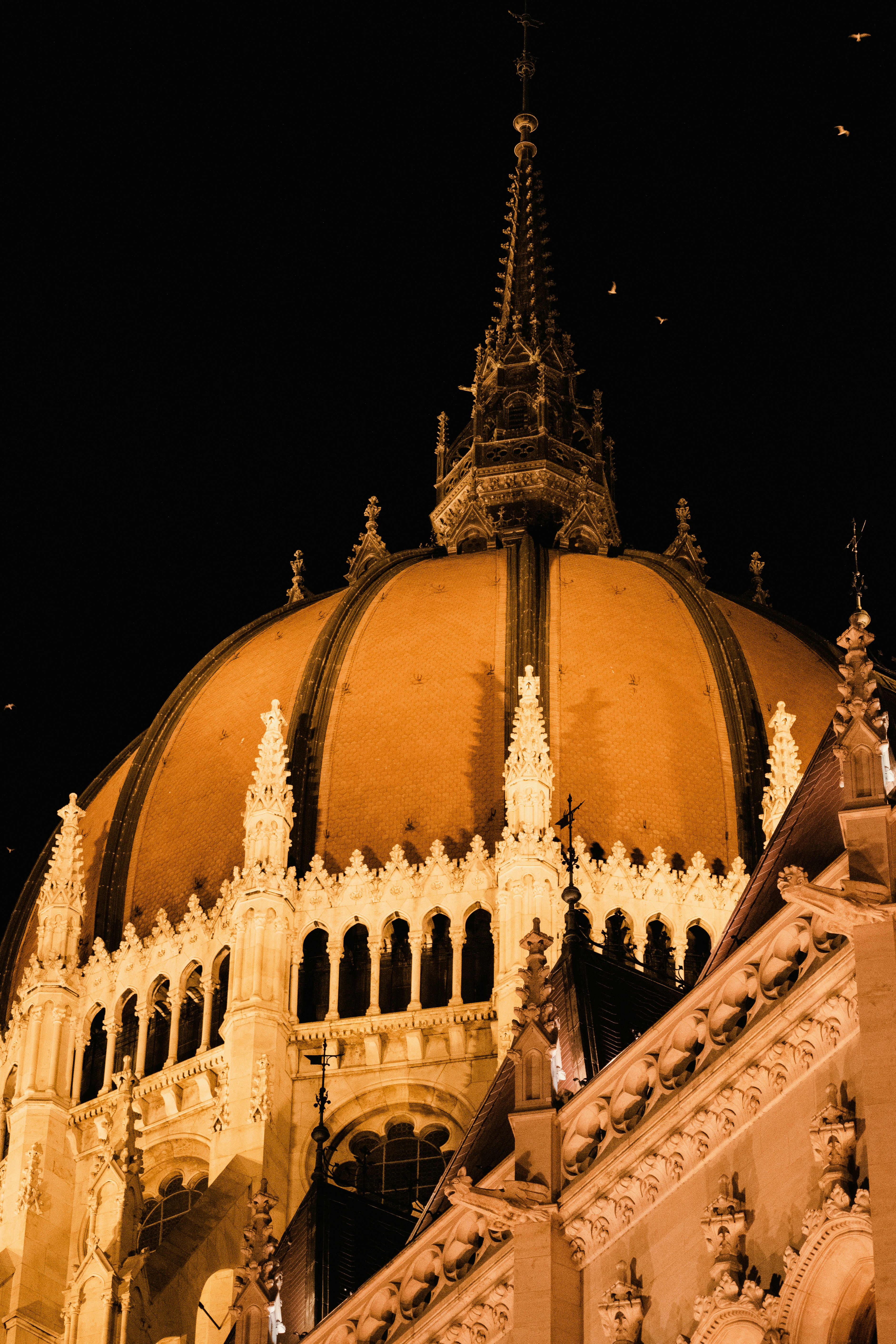 Photo by felixfpunkt