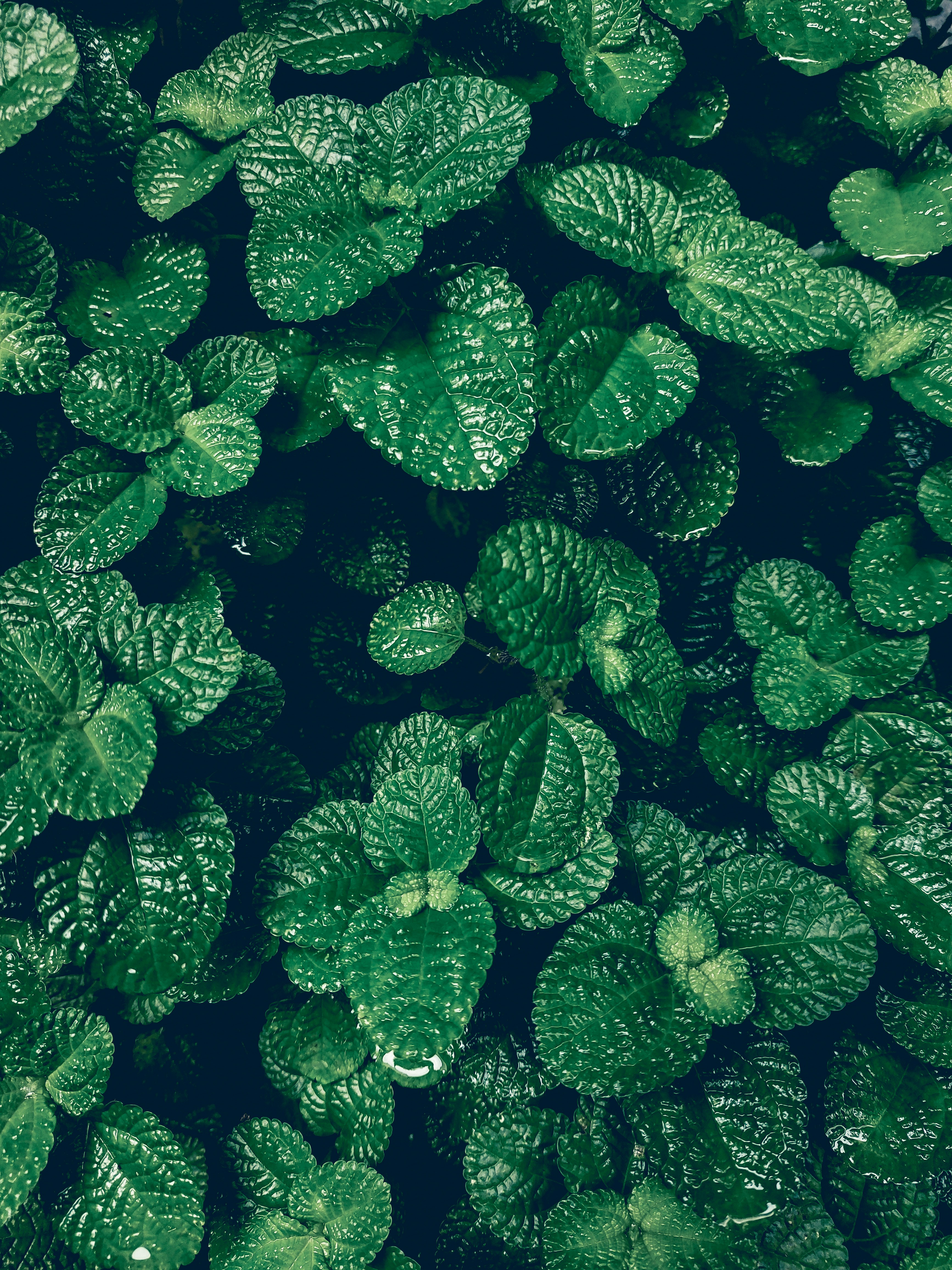 Photo by rahmilphotography