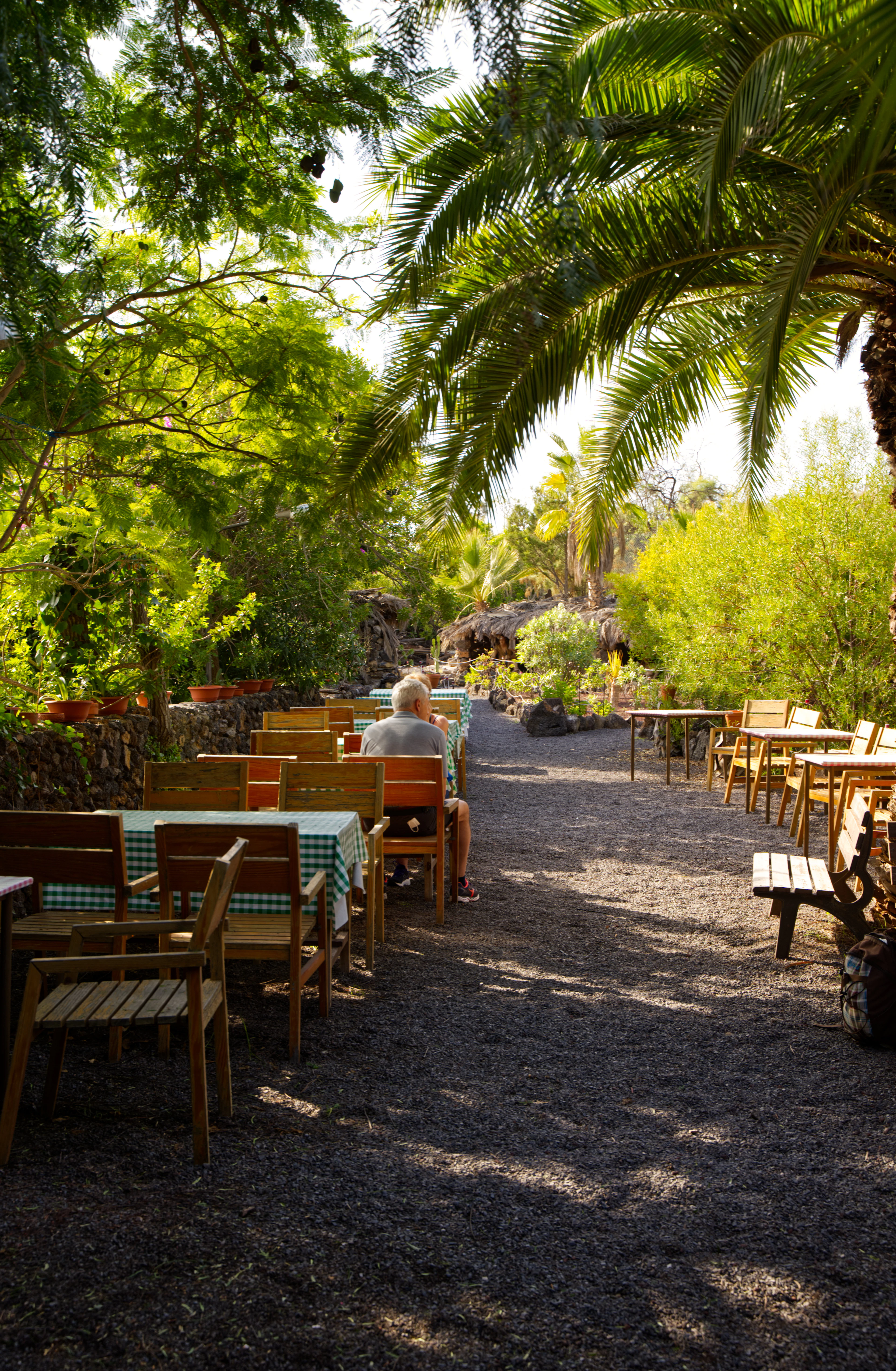 Wooden tables under green checked cloths set out on black volcanic gravel beneath palms and shade trees at a rural Canarian eating house in Tenerife, a single diner lingering over lunch in the dappled light.