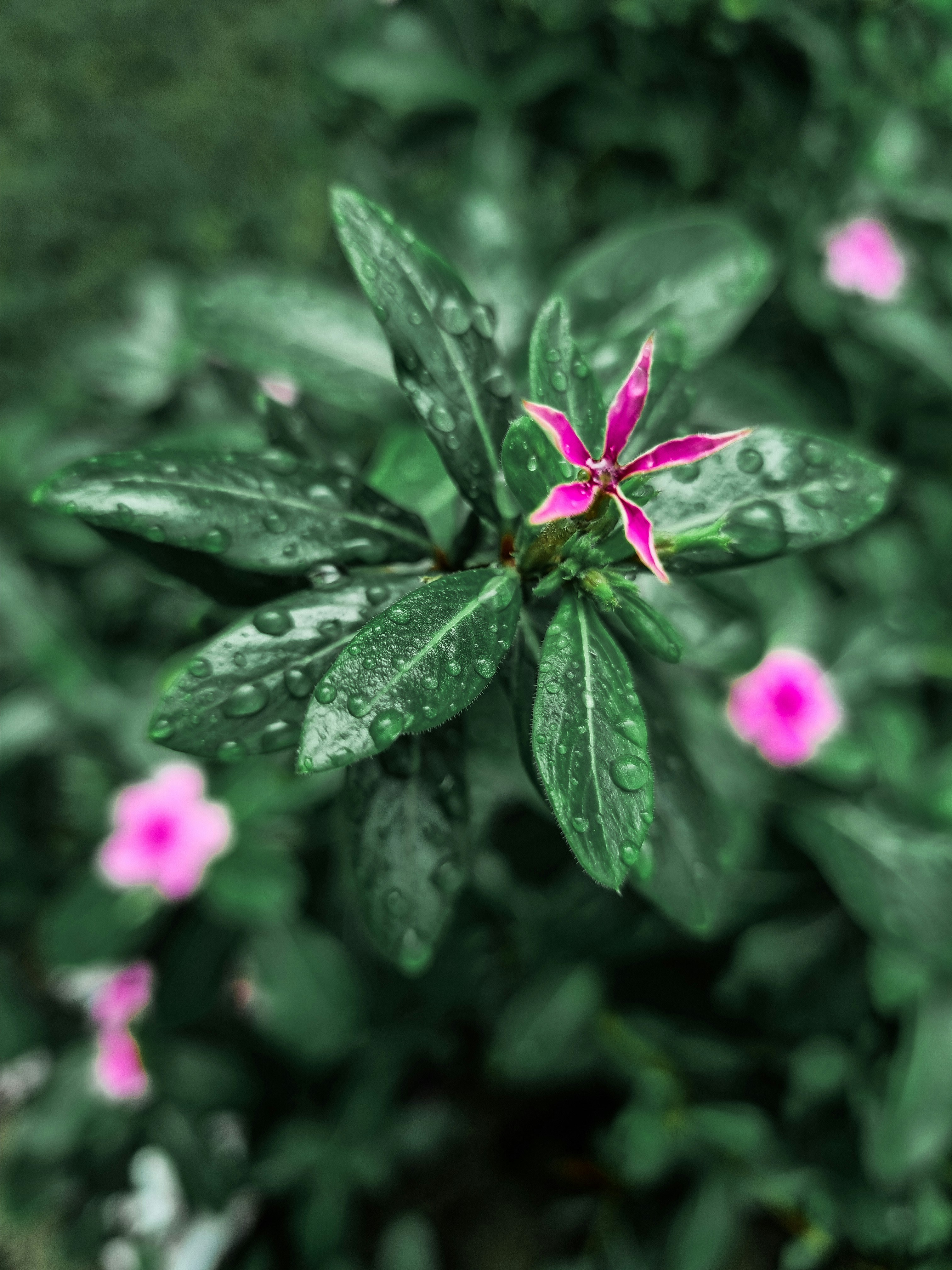 Photo by fatemeh_photography