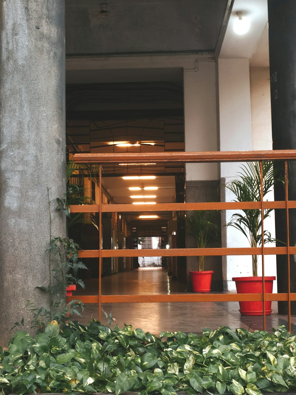 a building with a glass wall and plants in front of it