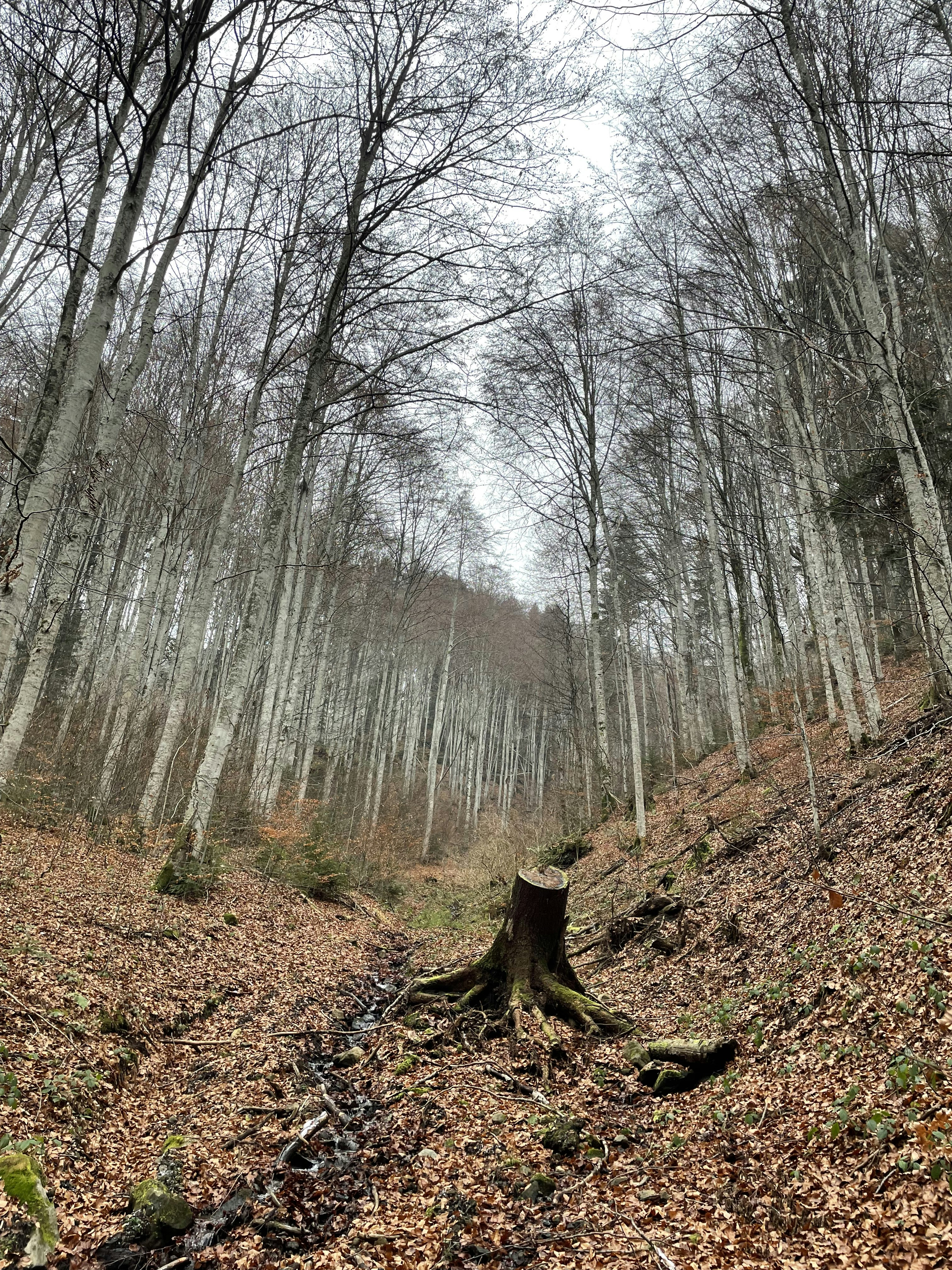 Photo by alldaybradley