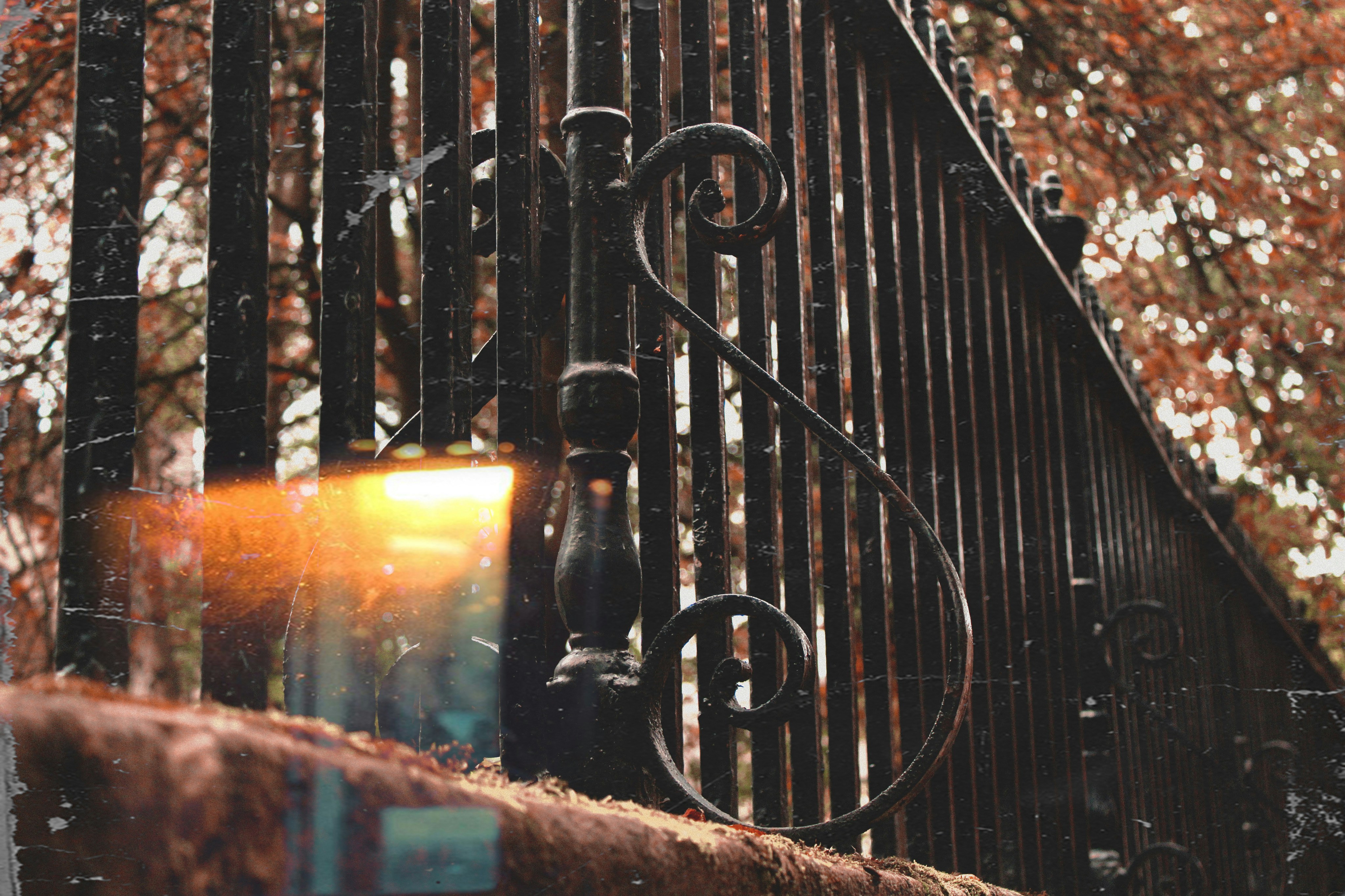 Photo by savannahnxo