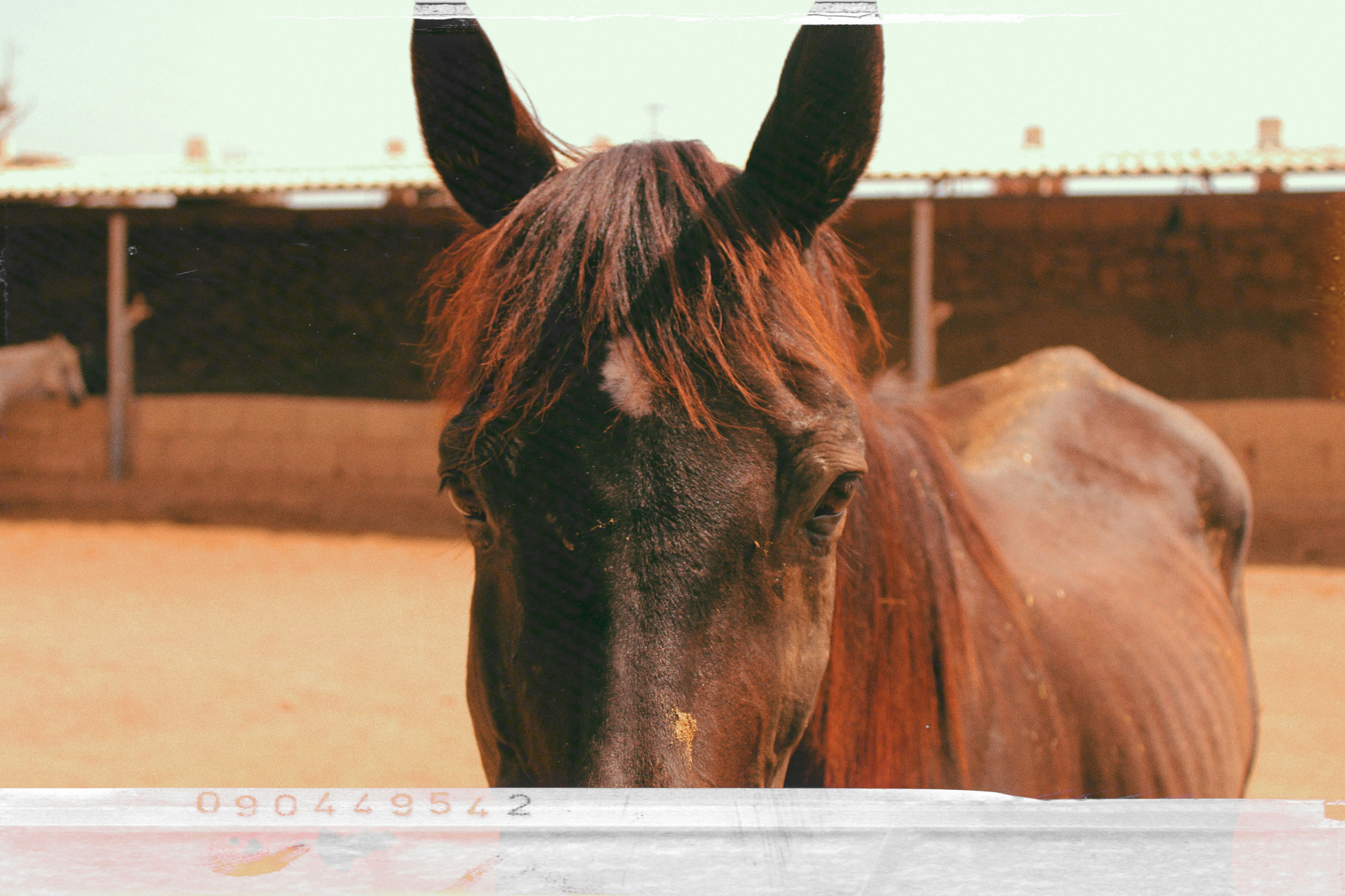 Photo by savannahnxo