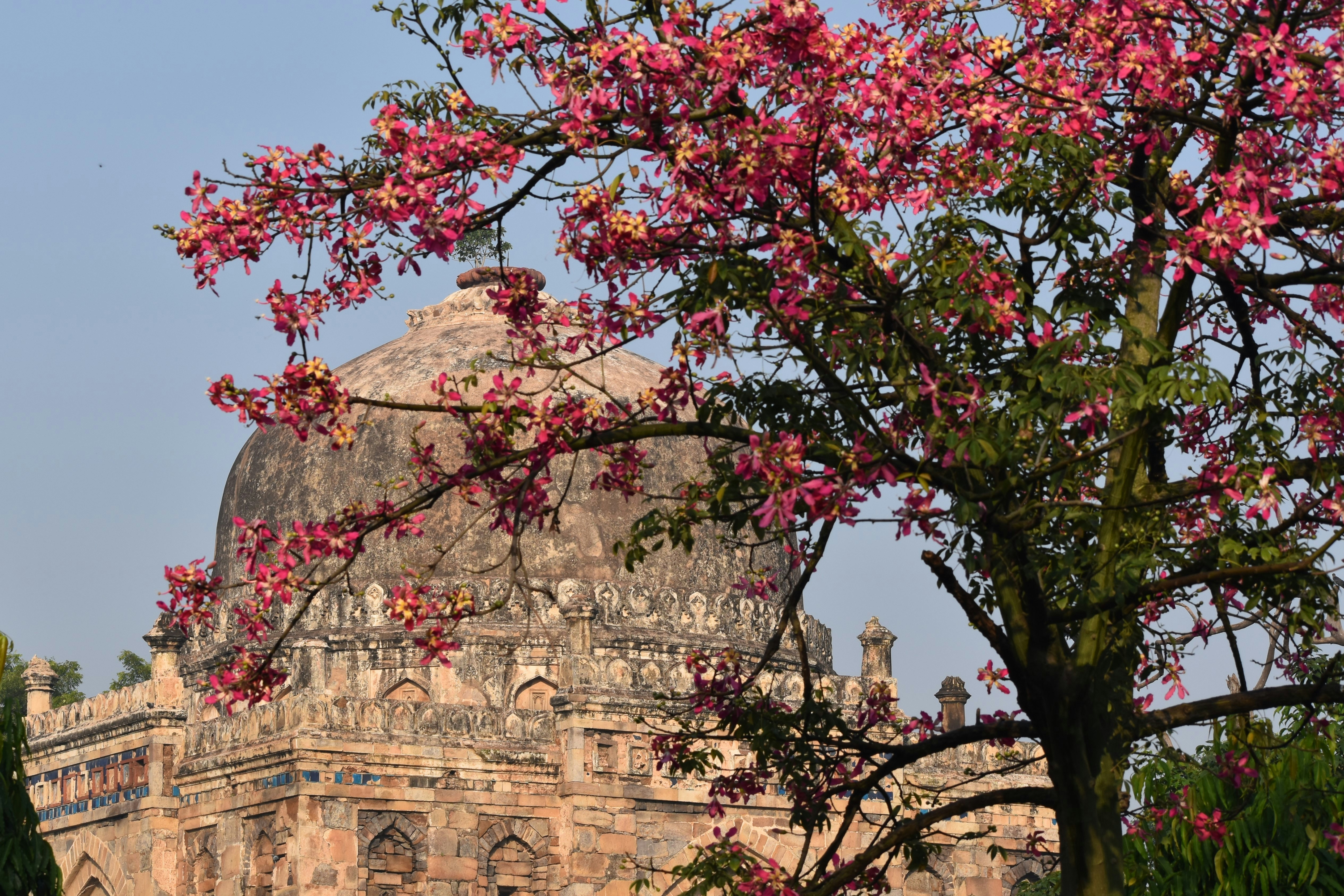 Photo by iamankurkhandelwal