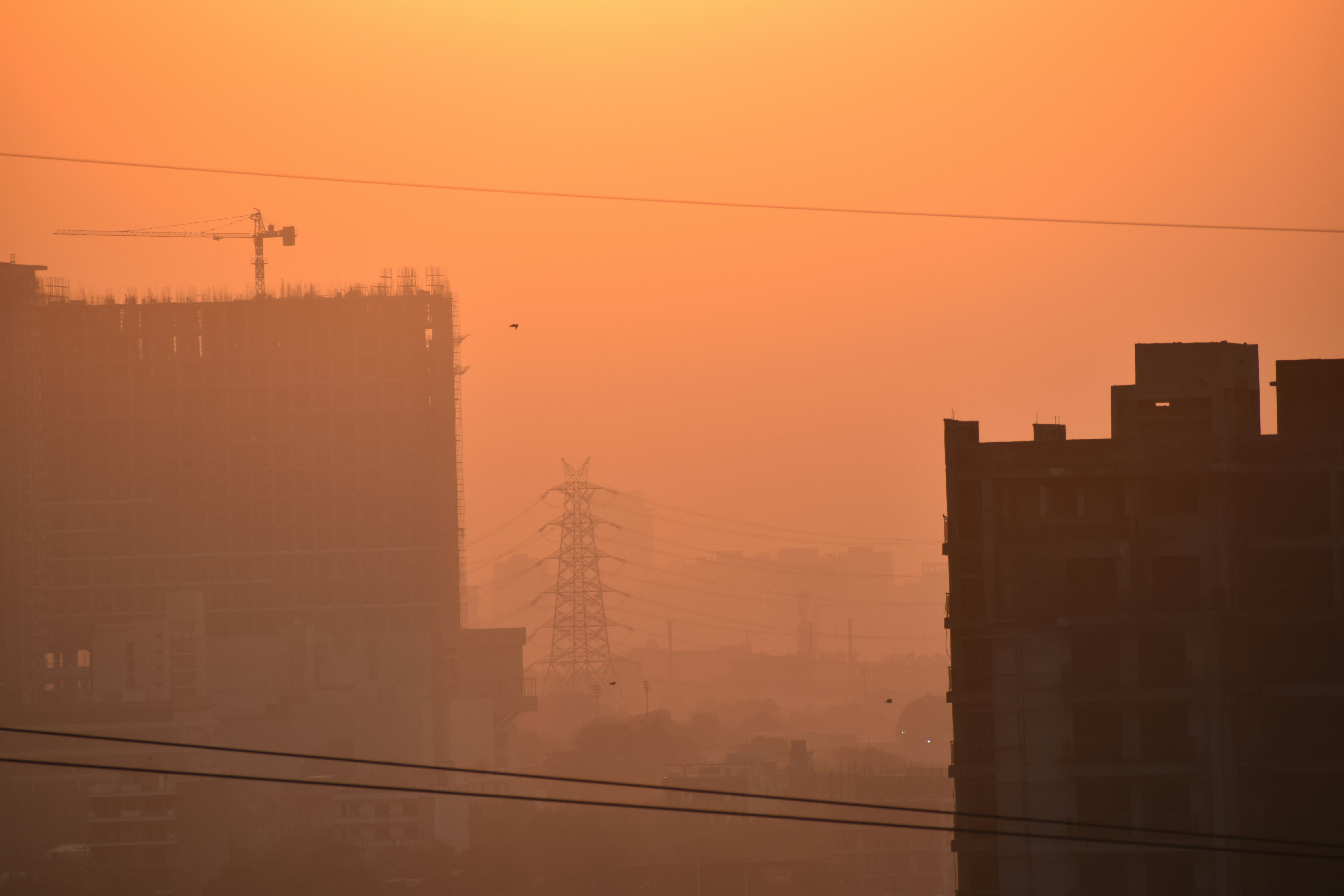 Photo by iamankurkhandelwal