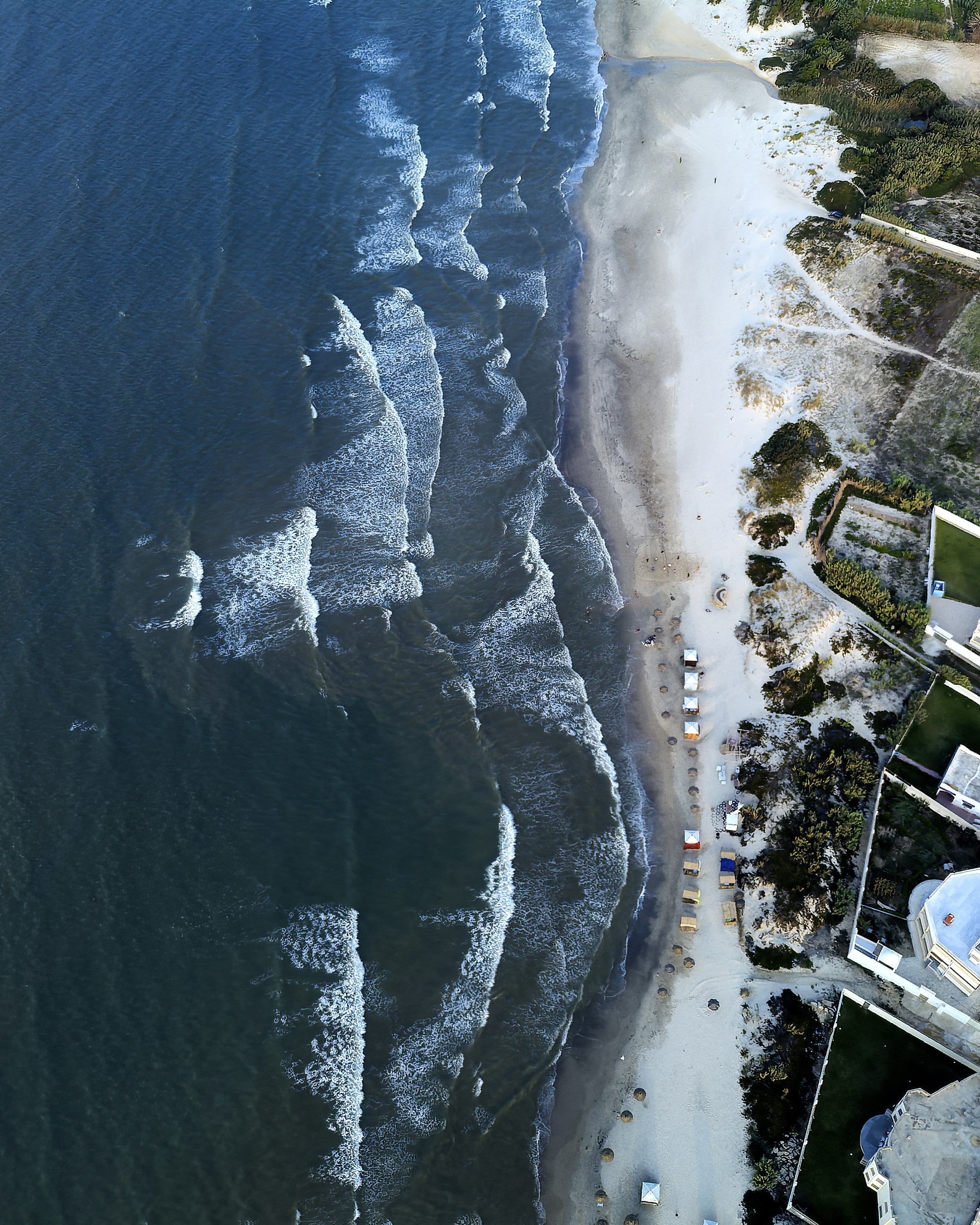 a body of water with a beach and trees around it