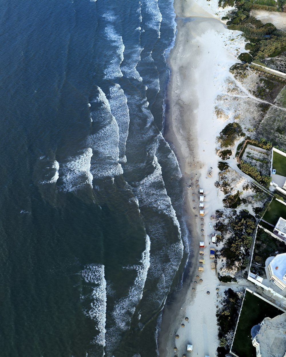 a body of water with a beach and trees around it