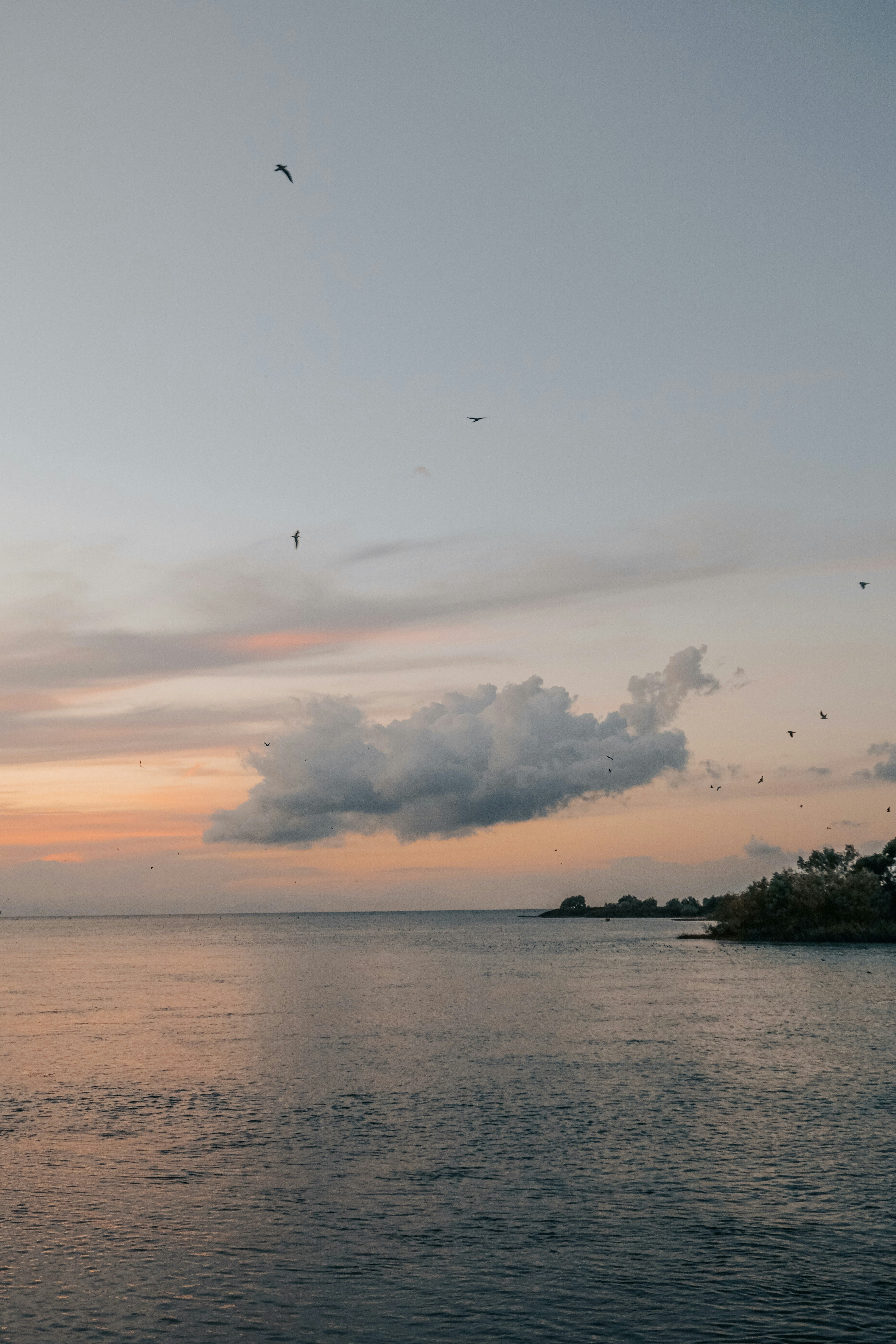 Photo by haticebaran