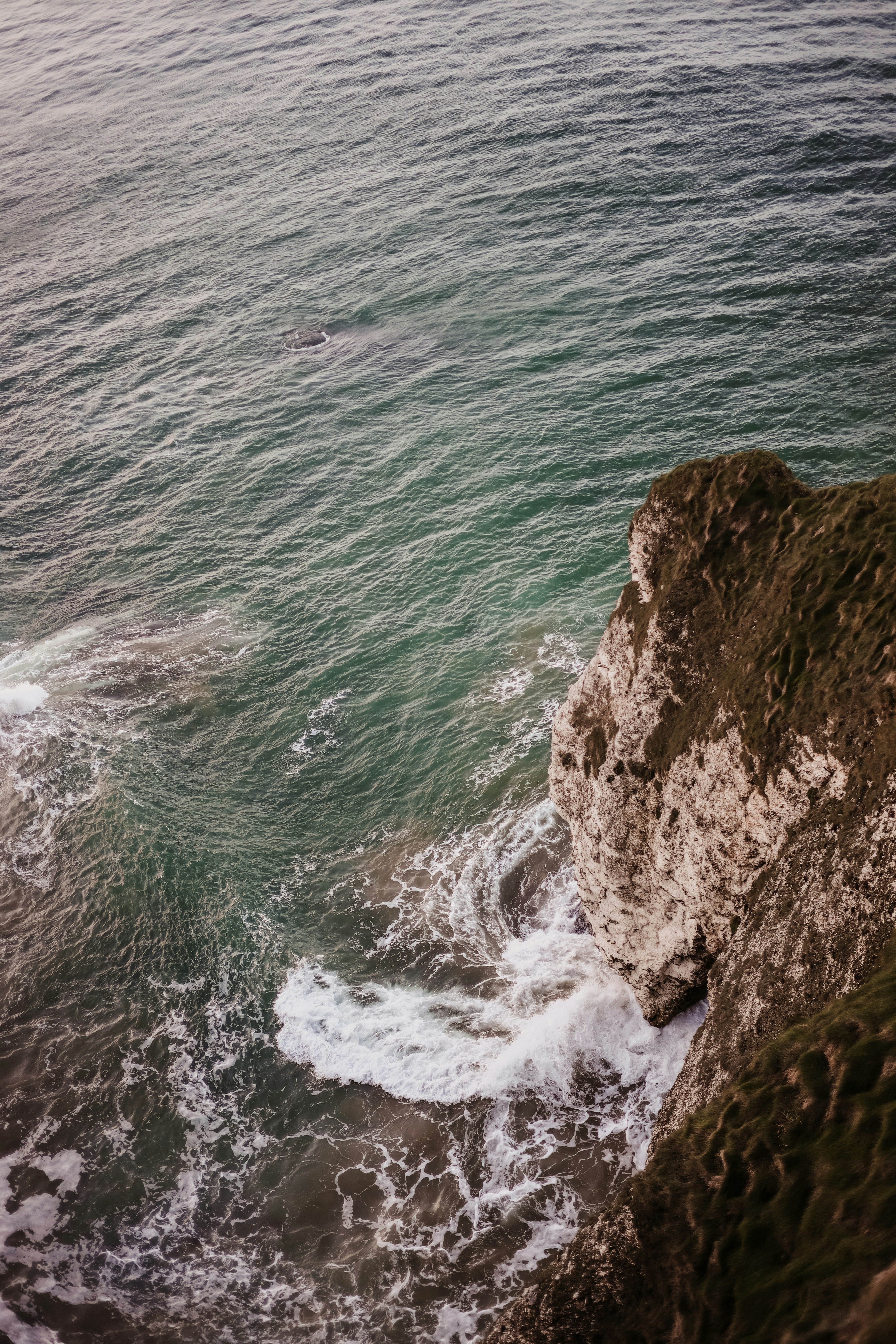 Photo by secondsight