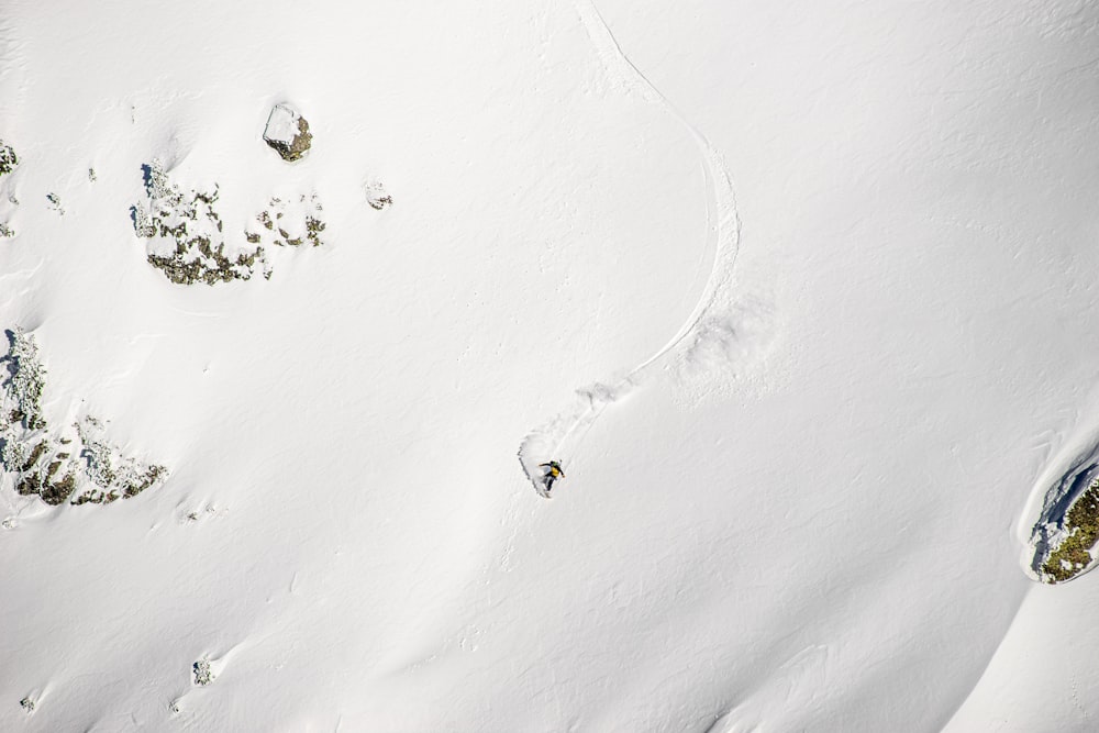 a group of people walking in the snow