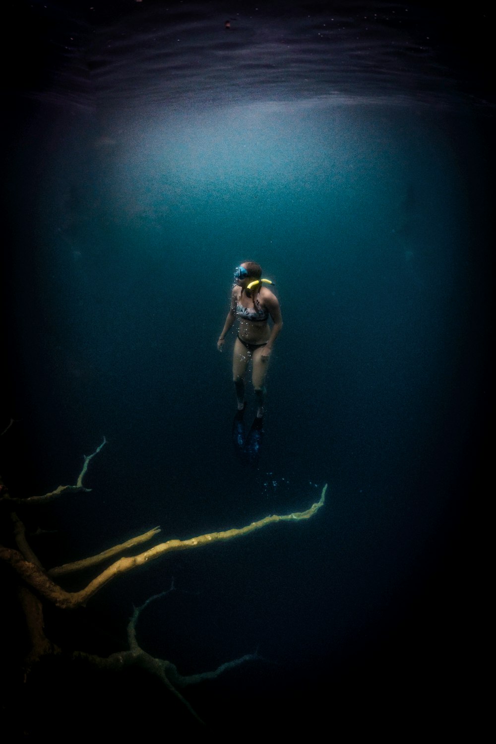 a person underwater with a scuba diver