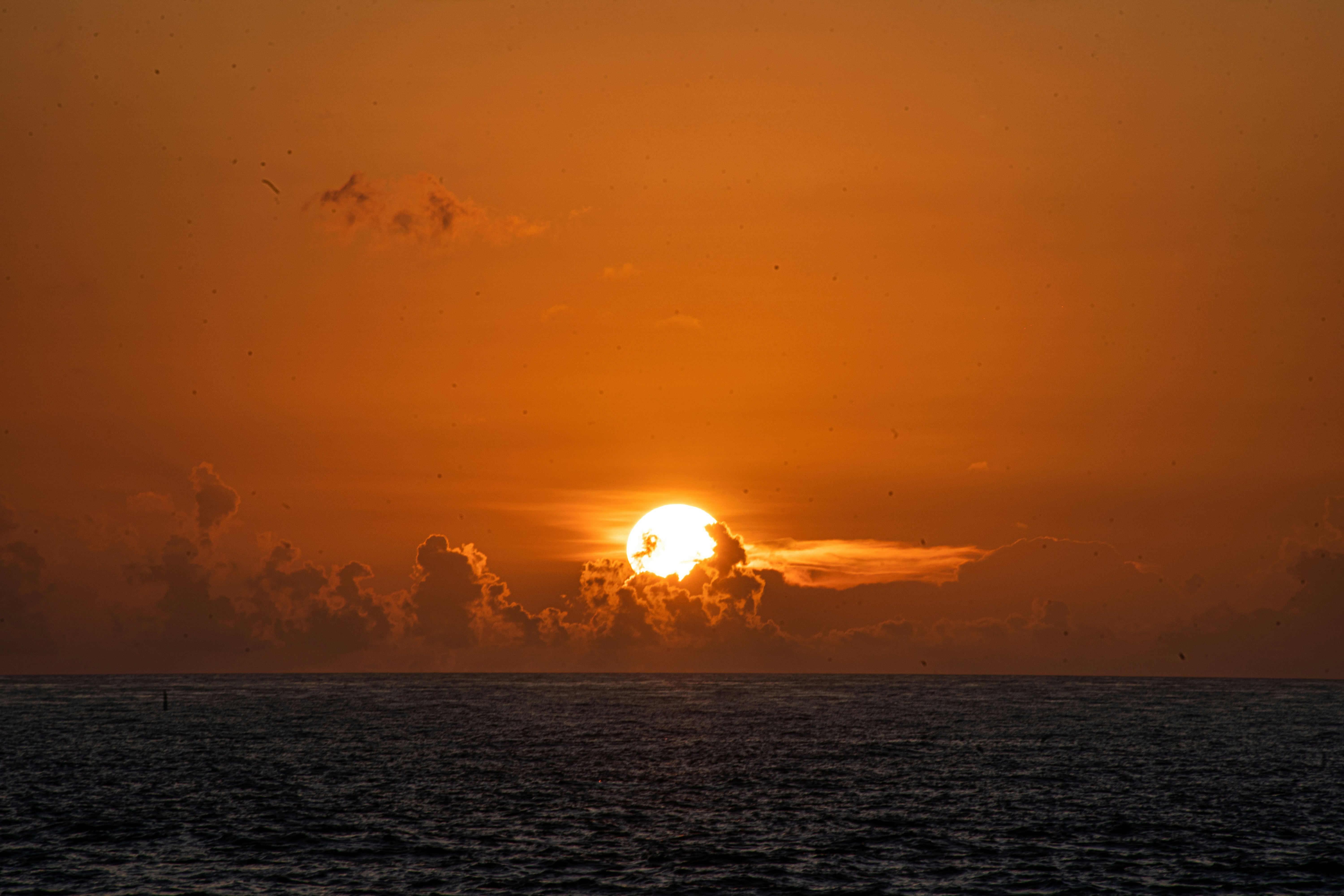 Photo by malekbeeprod