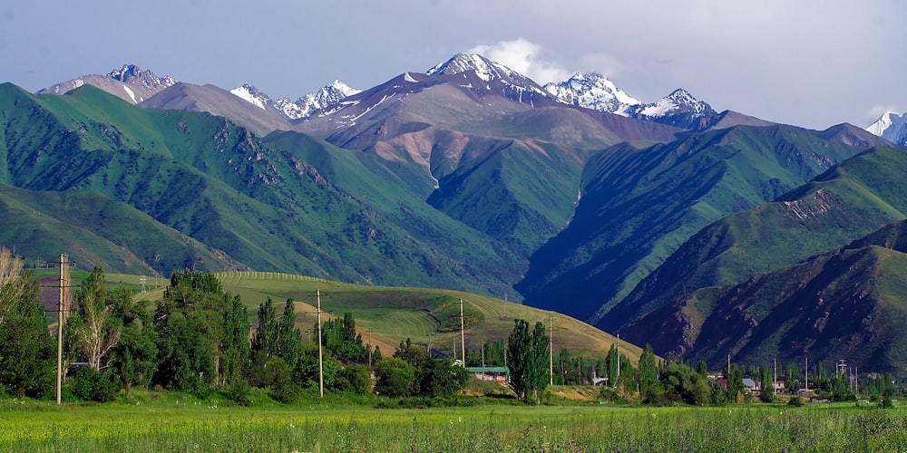 a grassy field with mountains in the background