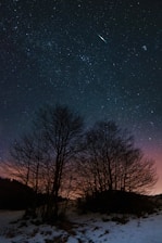 a snowy field with trees and stars in the sky