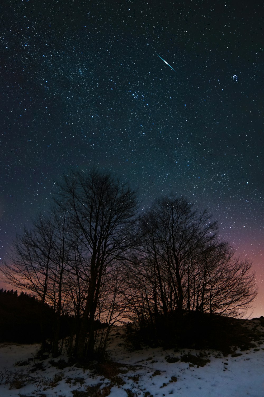 a snowy field with trees and stars in the sky