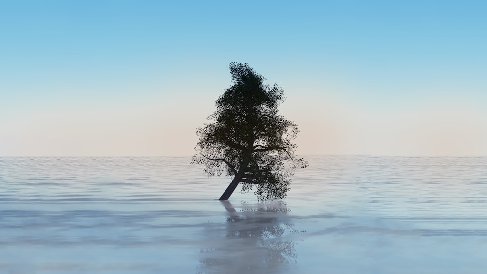 a tree in the middle of a body of water