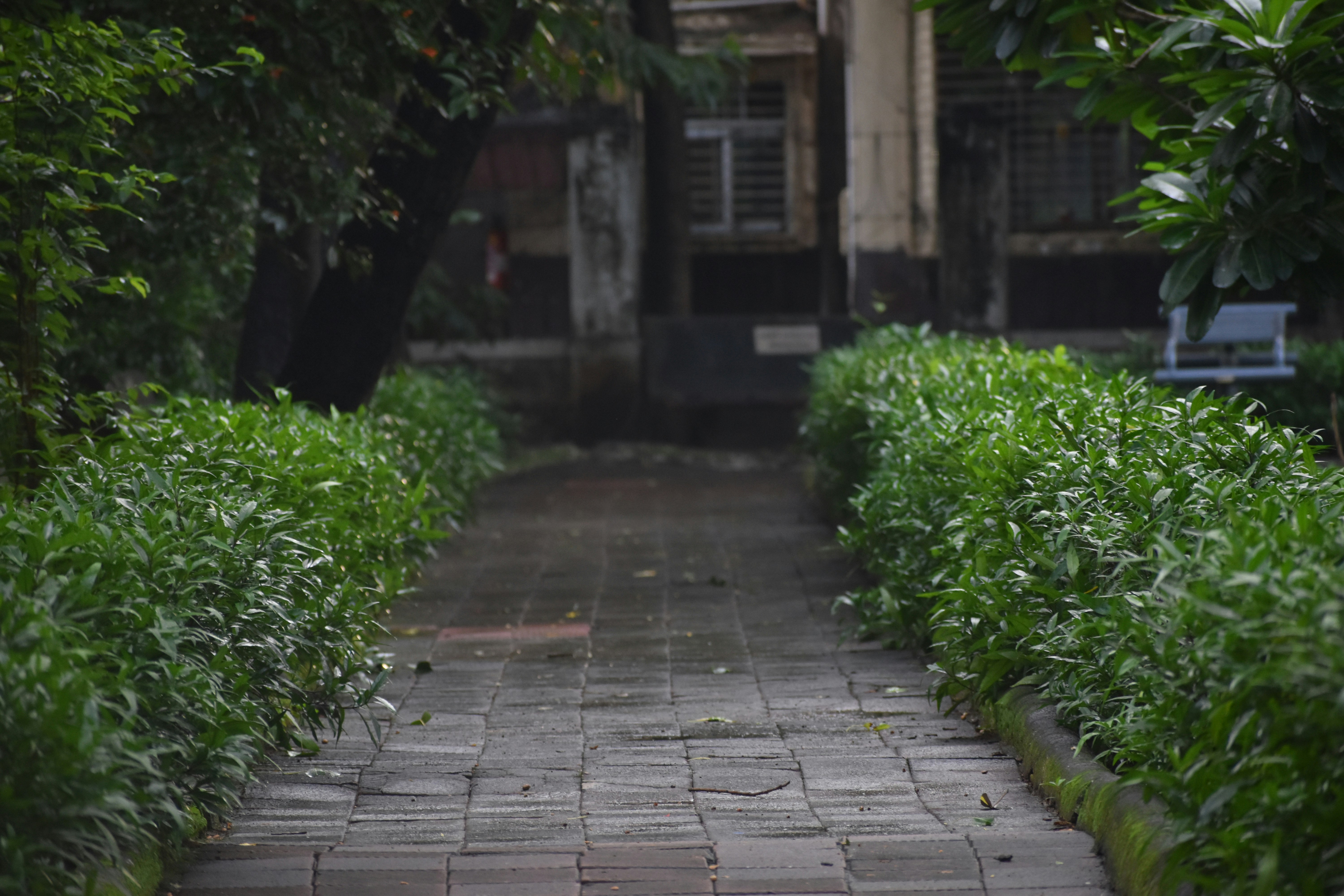 Photo by iamankurkhandelwal