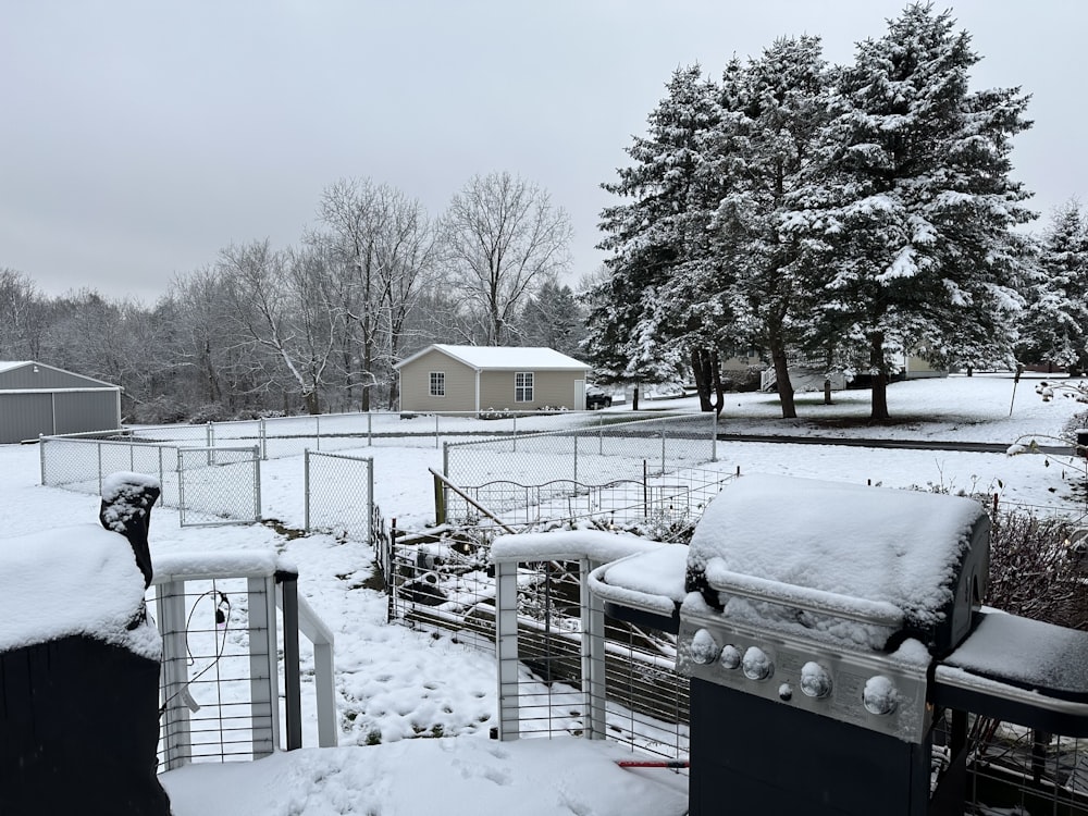 a snowy yard with a fence and a house