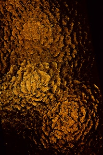 An abstract background featuring gold and white textures.
