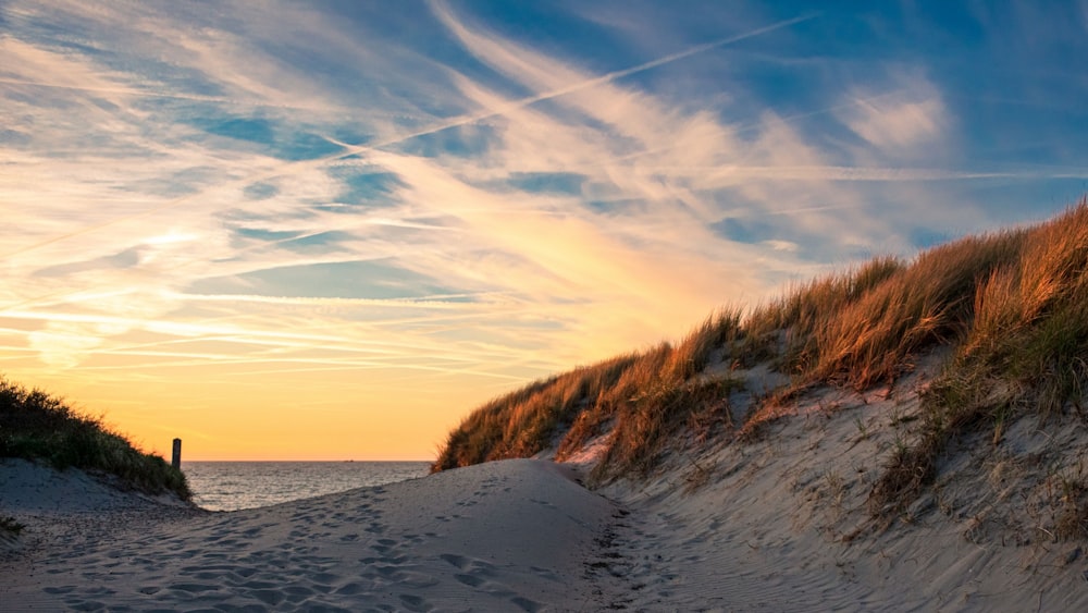 a beach with sand and grass