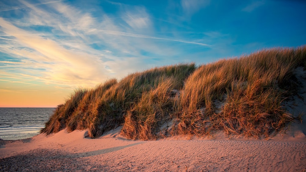 ein grasbewachsener Hügel mit Sand und Wasser im Hintergrund