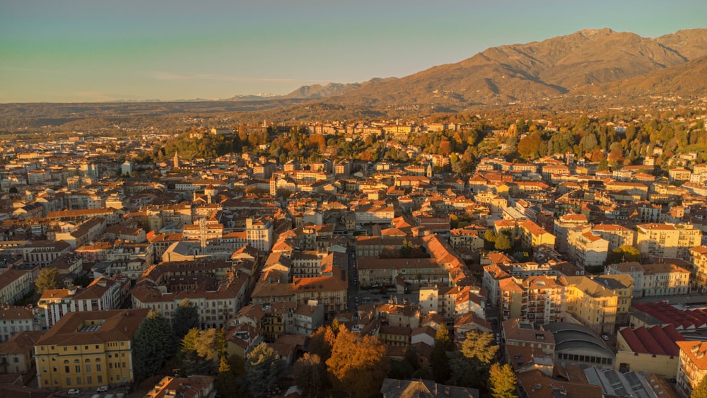 a city with many buildings