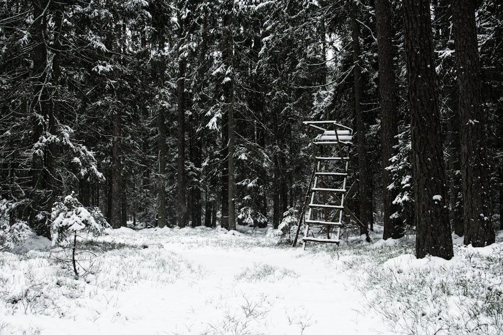 Eine Schaukel in einem verschneiten Wald