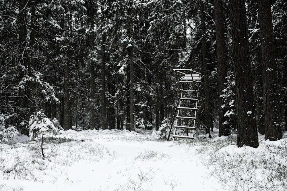 a swing set in a snowy forest