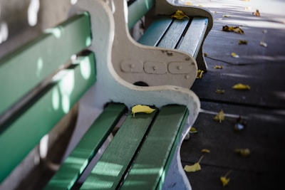Close-up of colorful autumn leaves on a wooden bench