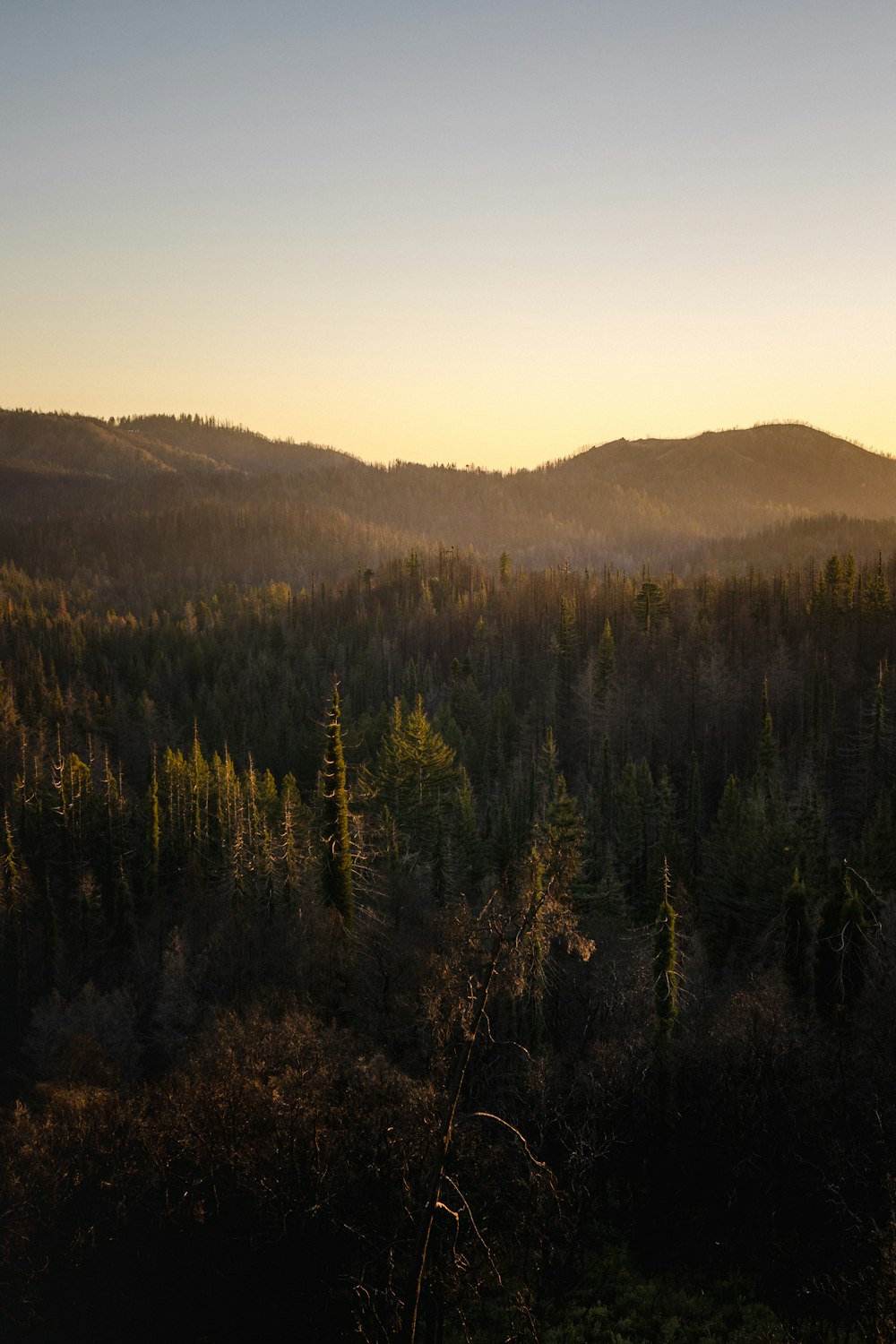 a landscape with trees and hills in the background