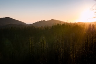 Sun setting over a forest with rolling hills in the background, casting a warm glow over the landscape. Tall trees are silhouetted in the foreground against a gradient sky transitioning from blue to orange.