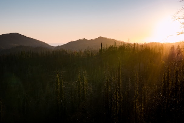 Sun setting over a forest with rolling hills in the background, casting a warm glow over the landscape. Tall trees are silhouetted in the foreground against a gradient sky transitioning from blue to orange.