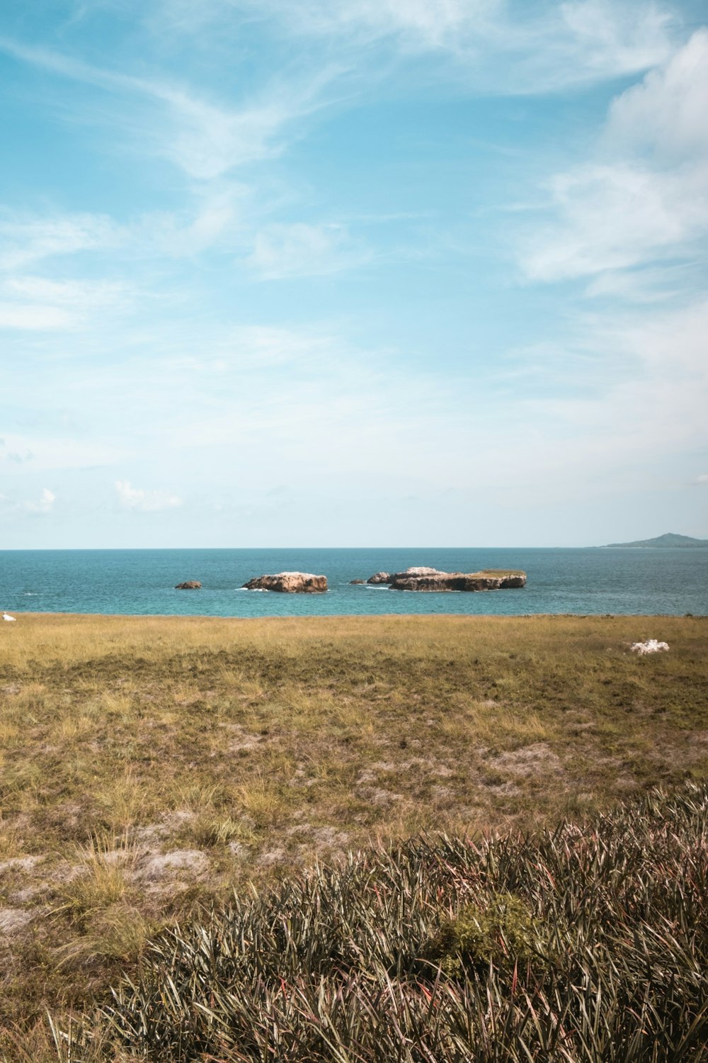 a grassy area with a body of water in the background