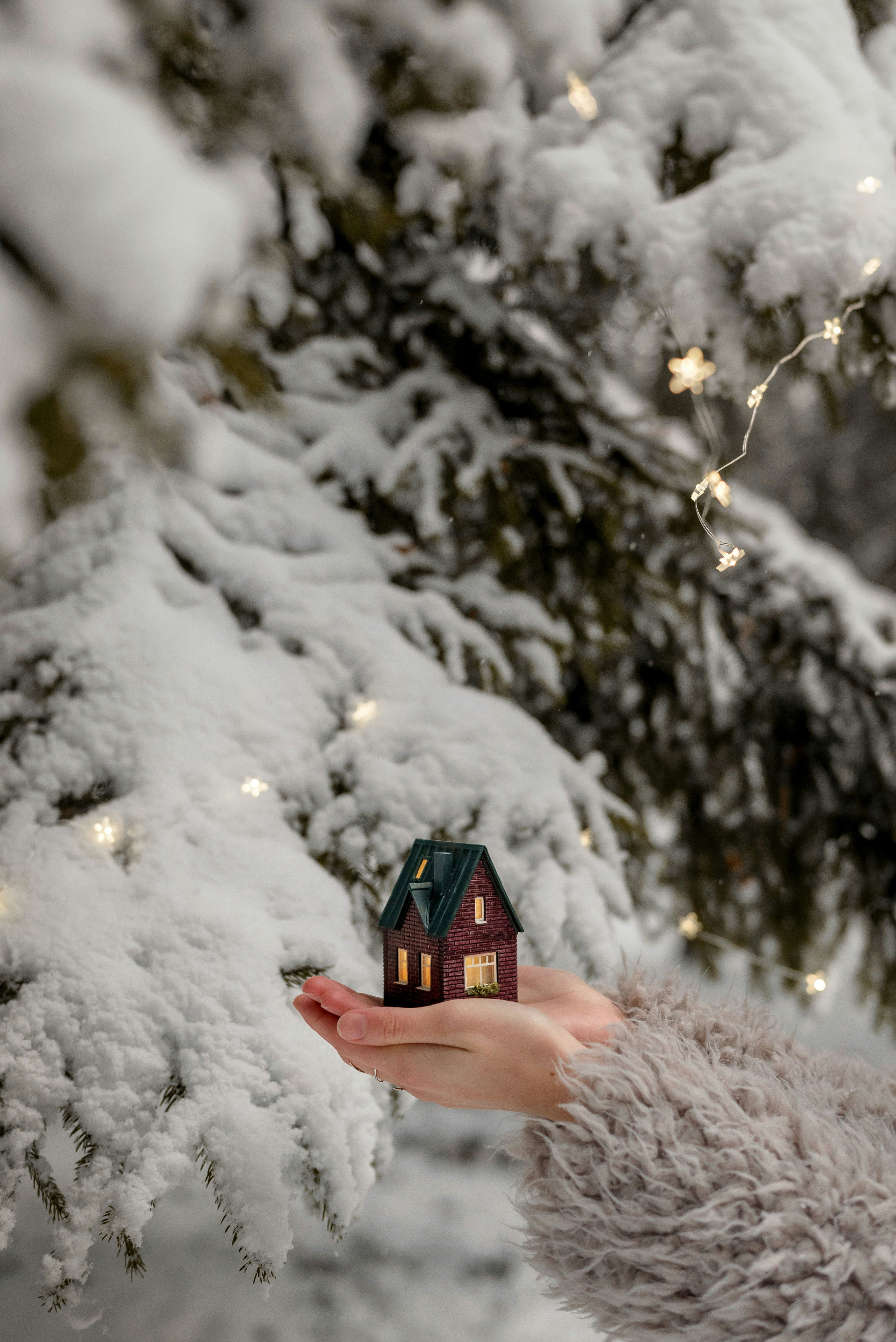 une main tenant un petit cube devant un arbre couvert de neige
