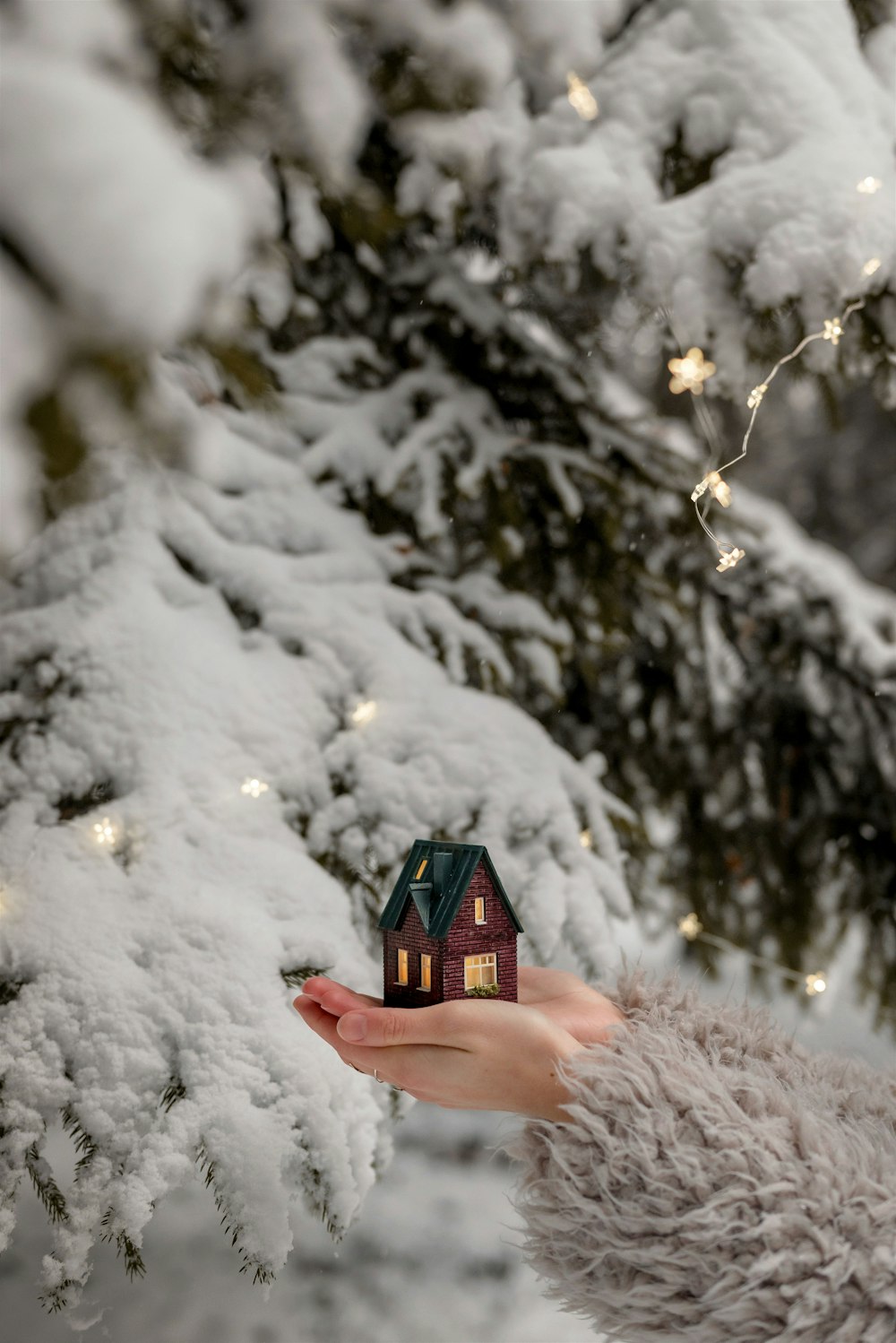a hand holding a small cube in front of a tree covered in snow