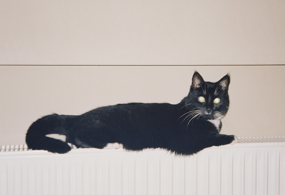 a black cat lying on a white surface