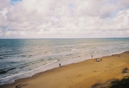 people on a beach