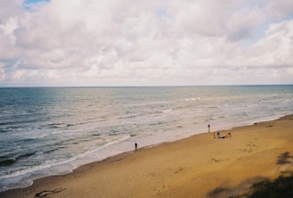 people on a beach