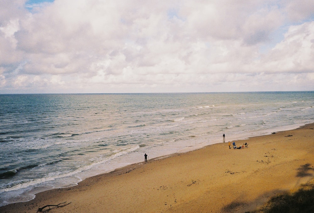 people on a beach