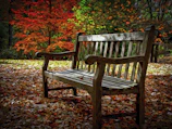 A peaceful park bench surrounded by autumn leaves, symbolizing a fresh start.