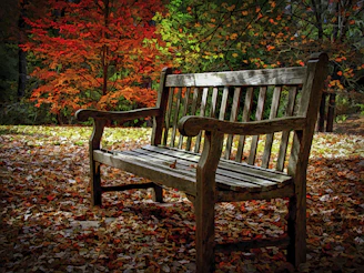 A peaceful park bench surrounded by autumn leaves, symbolizing a break from the 8am to 5pm grind.